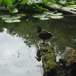 Meet your Posher, Erik